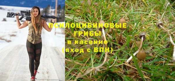 спайс Горно-Алтайск