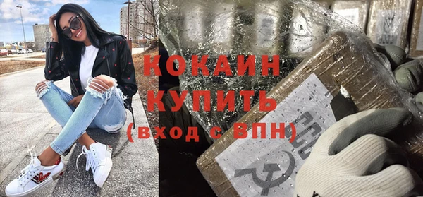 гашик Горняк