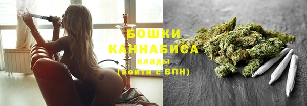 гашик Горняк