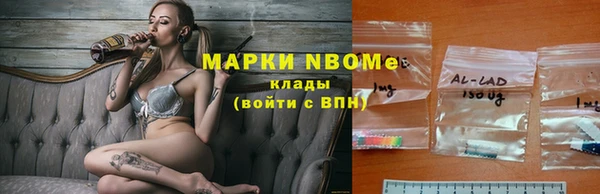 гашик Горняк