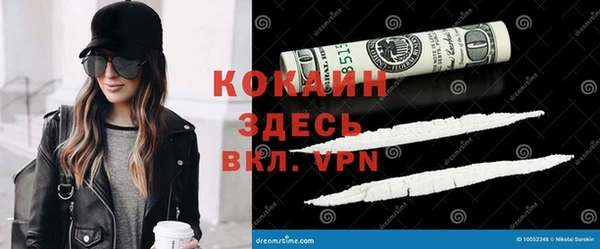 гашик Горняк