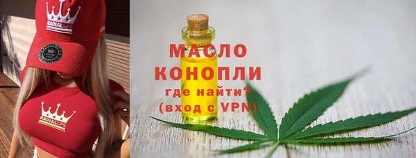 гашик Горняк