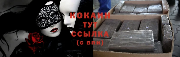 гашик Горняк