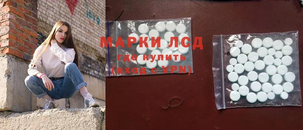 гашик Горняк