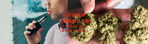 гашик Горняк