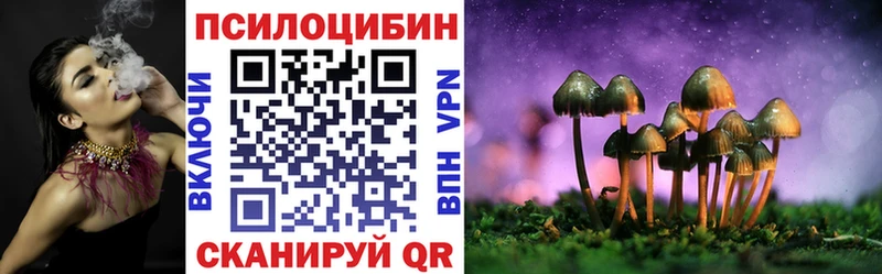 наркотики  Северодвинск  Псилоцибиновые грибы мицелий 