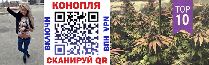 мега зеркало  даркнет сайт  Северодвинск  Шишки марихуана White Widow 
